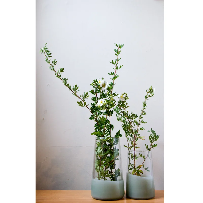 Two-Tone Stem Vases - Powder Blue