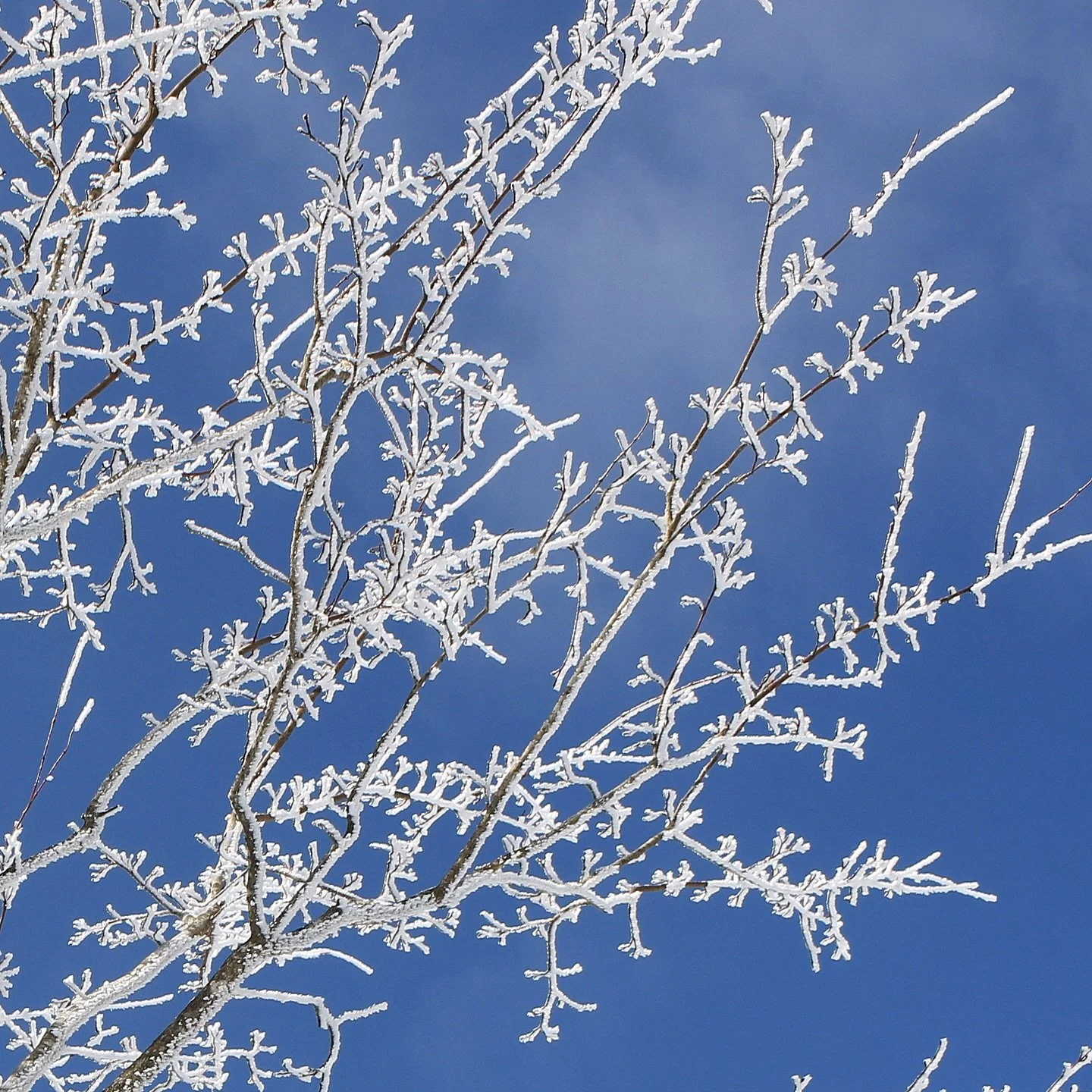 Whew! Winter Storm Fern has been a doozie. ❄️❄️❄️

I hope you&rsquo;re safe, warm, and well. Days like these slow everything down. Our Studio is currently closed until Nashville thaws out and it&rsquo;s safe to be back on the roads. Hopefully sooner 