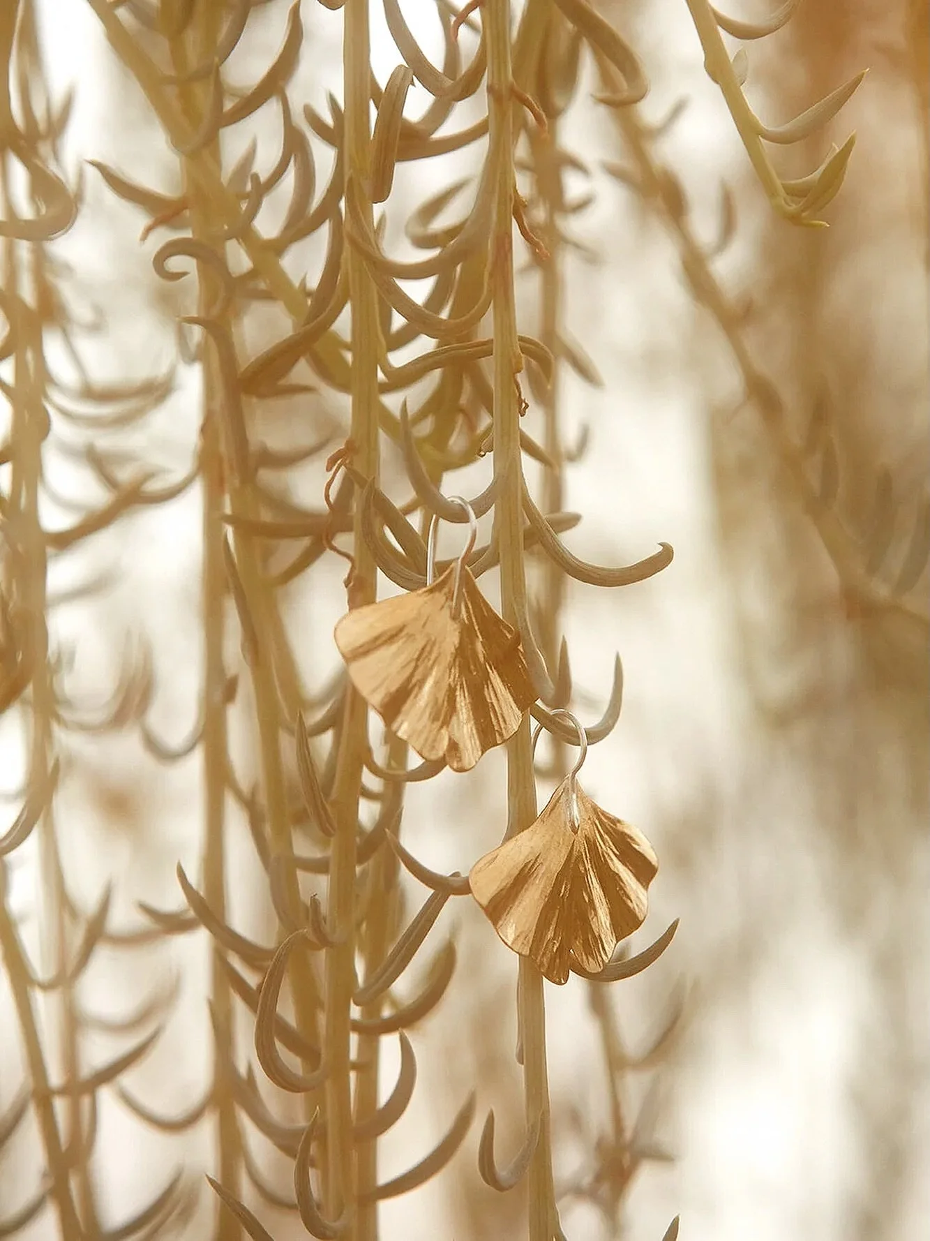 Longevity. Endurance. Resilience. Peace. Hope. One of each please. 🕊️