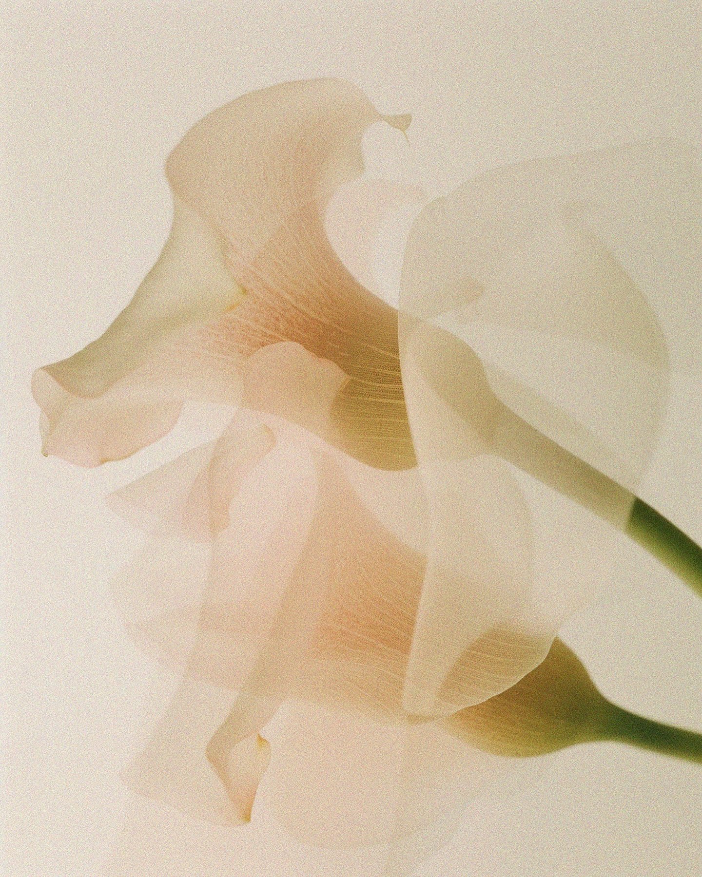 ORGANIC. BOLD. SUBTLY UNIQUE. 
Each piece celebrates the artistry of the human hand. No two exactly alike. For those who collect with intention. Trust your instinct. Pieces like these rarely linger. The Calla Collection is now available online and in