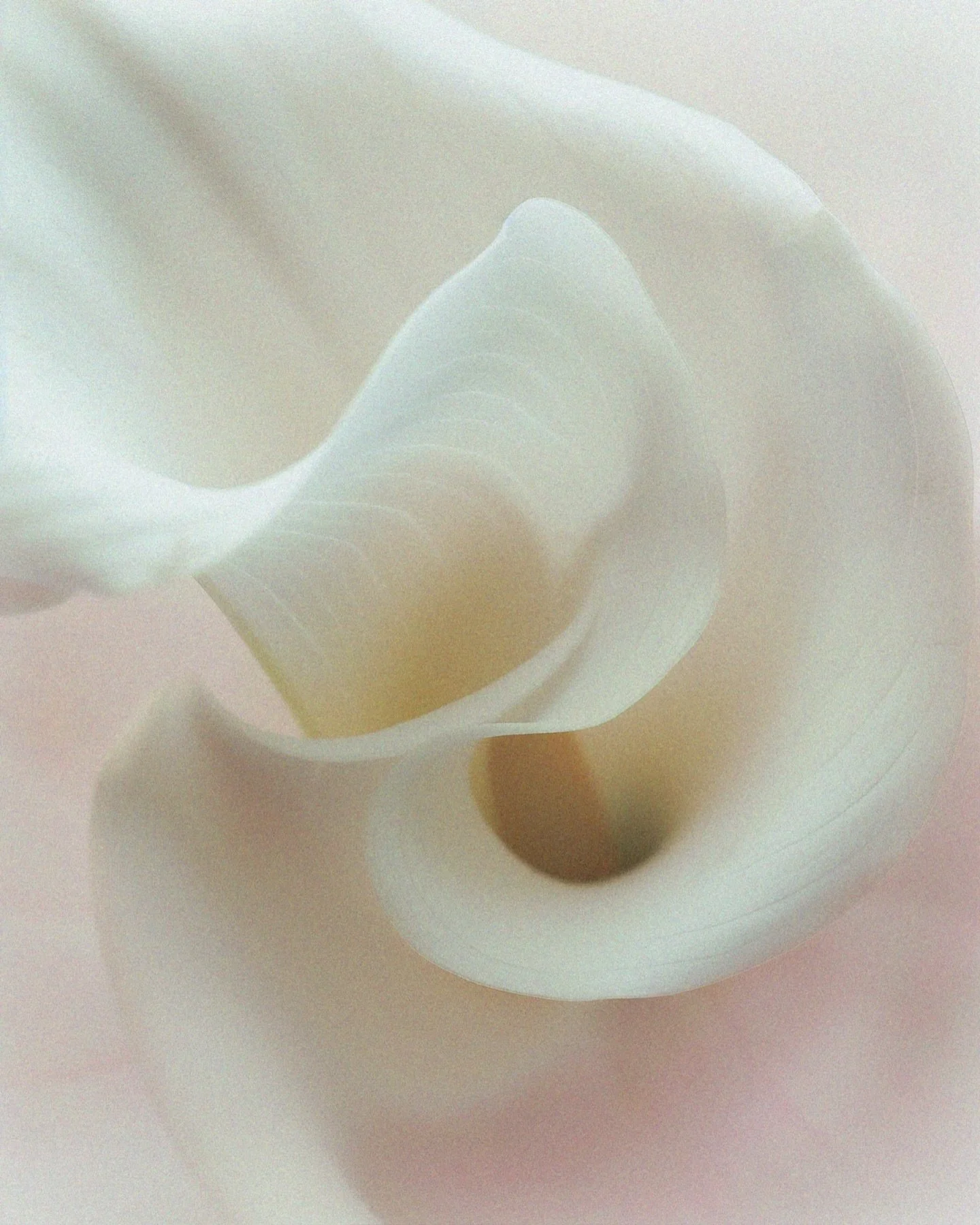 A season of reflection, hope, and light. Wishing you a beautiful Easter weekend.✨✨✨