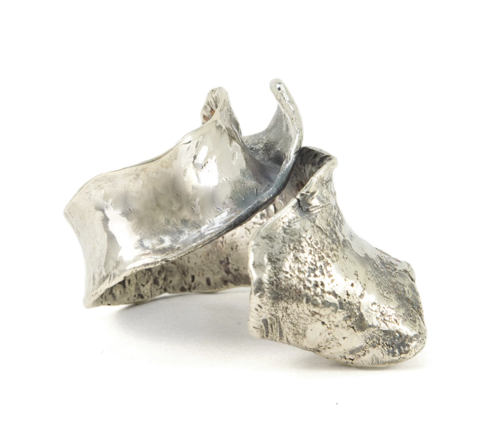 ReticulatedRibbonRing3.jpg