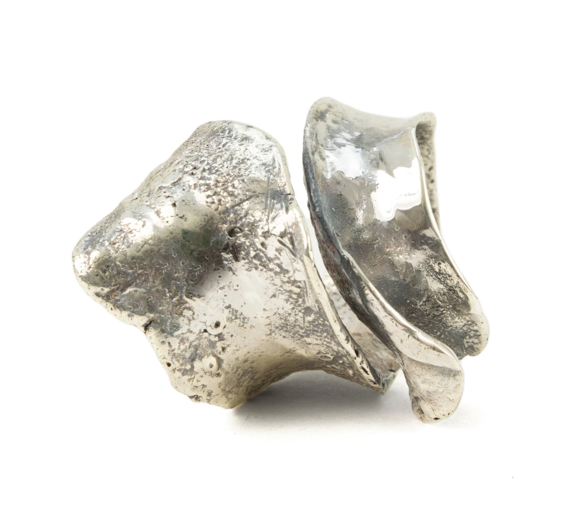 ReticulatedRibbonRing2.jpg