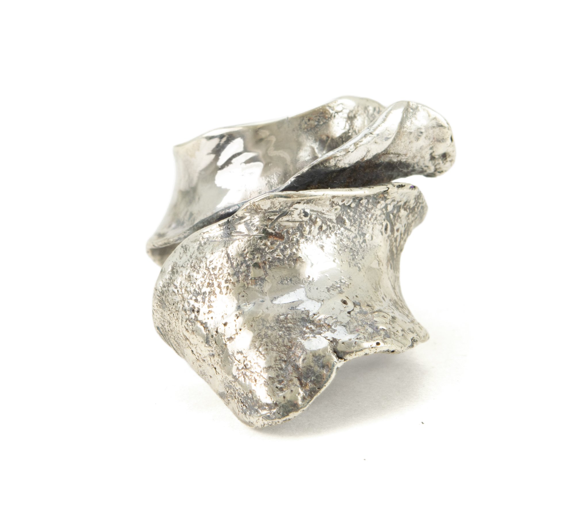 ReticulatedRibbonRing.jpg