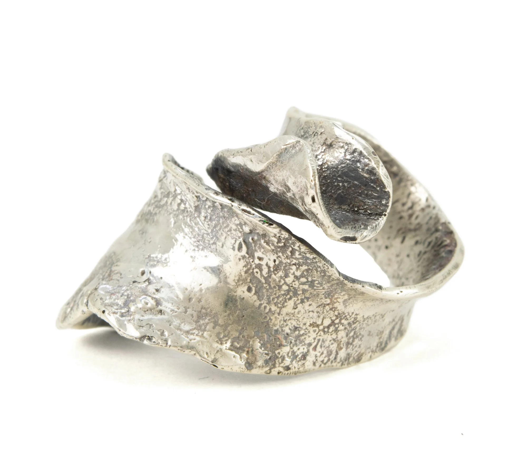 ReticulatedRibbonRing4.jpg