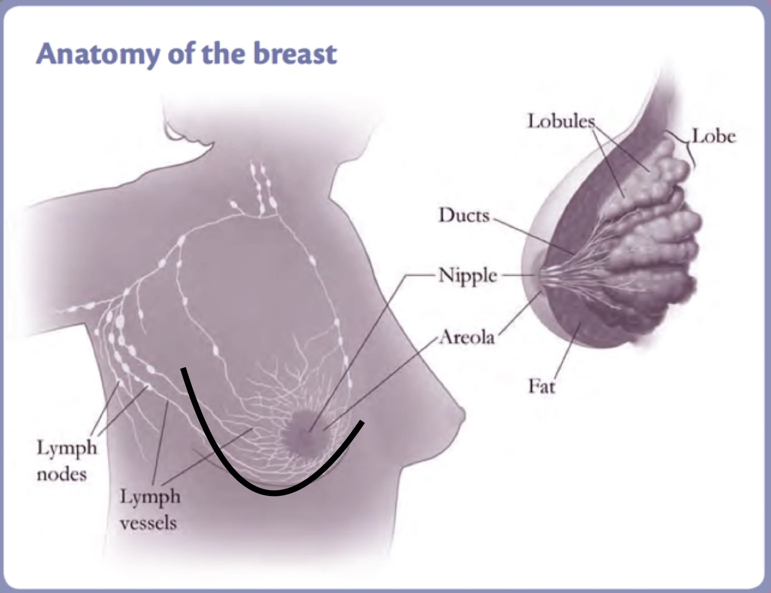Image from Cancer.gov