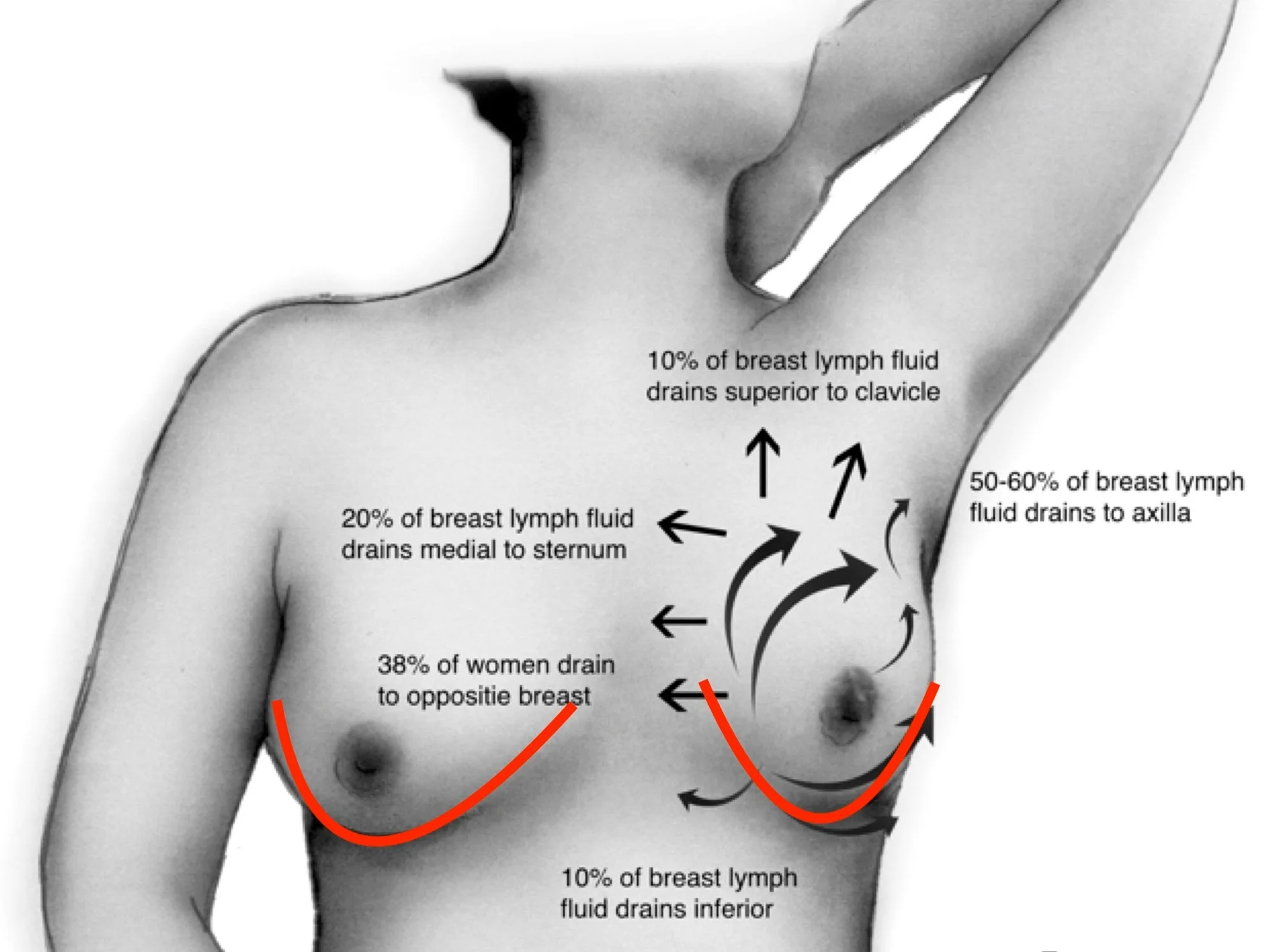 Image copyright Breast Remedy 2015