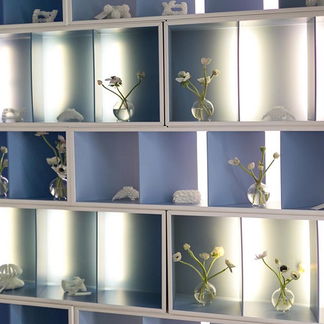 Shelf decor #shelfie #moethennessy #rochebobois  #alexandraabuza #mirrastudiophotography #kensolomonproductions
