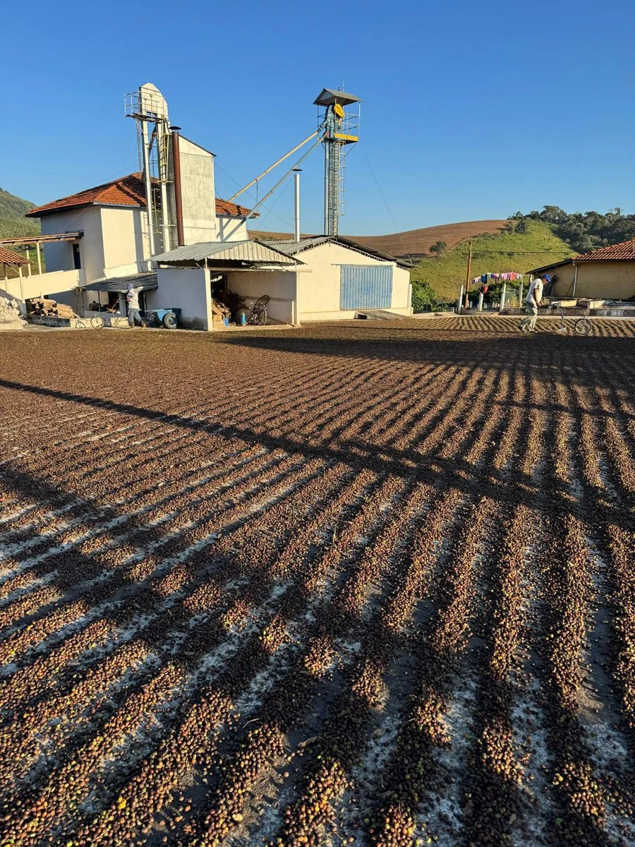 JC coffee farm 3.jpg