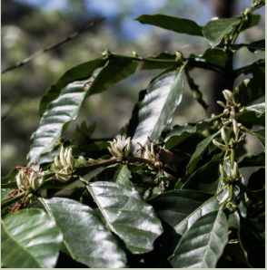 Screenshot 2026-03-09 at 4.08.25 PM.png