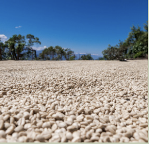 Screenshot 2026-03-09 at 4.08.07 PM.png