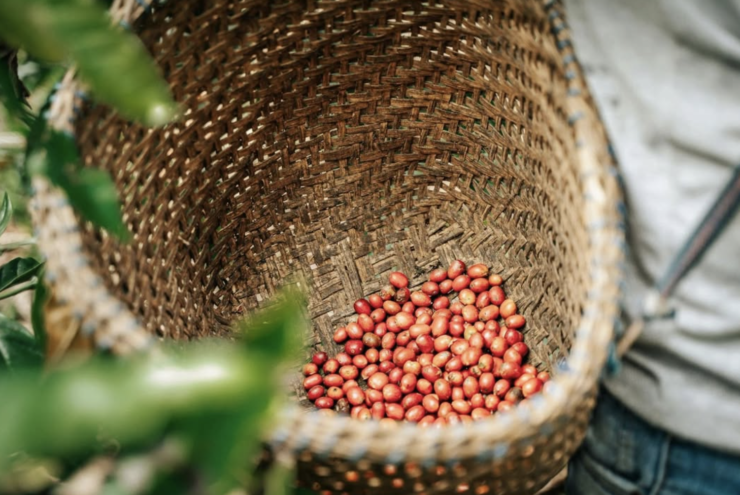 Screenshot 2026-03-11 at 10.45.24 AM.png