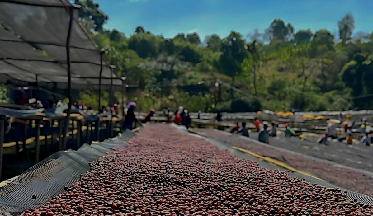 Screenshot 2026-03-11 at 10.50.11 AM.png