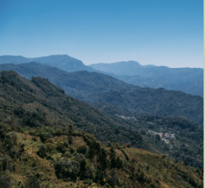 Screenshot 2026-03-09 at 4.07.53 PM.png