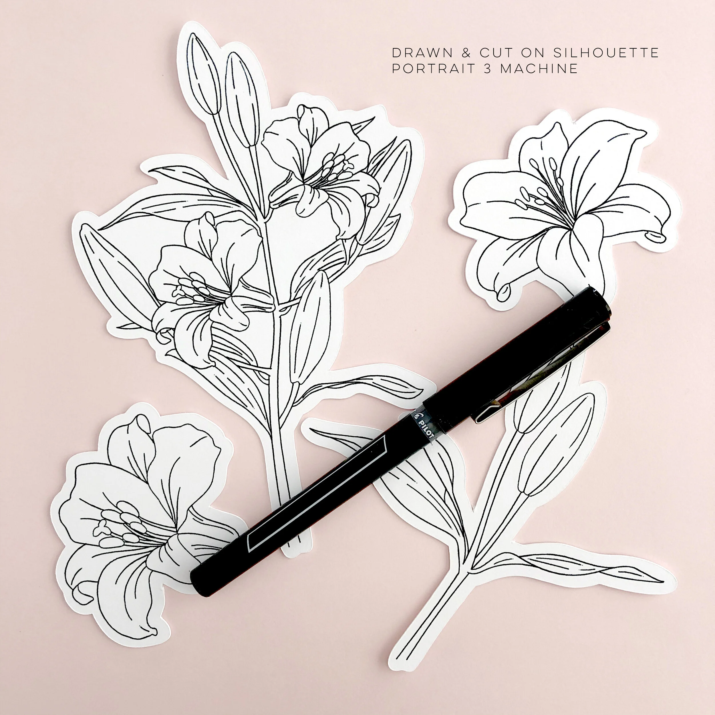 Lily - Black Pen on White Cardstock.jpg