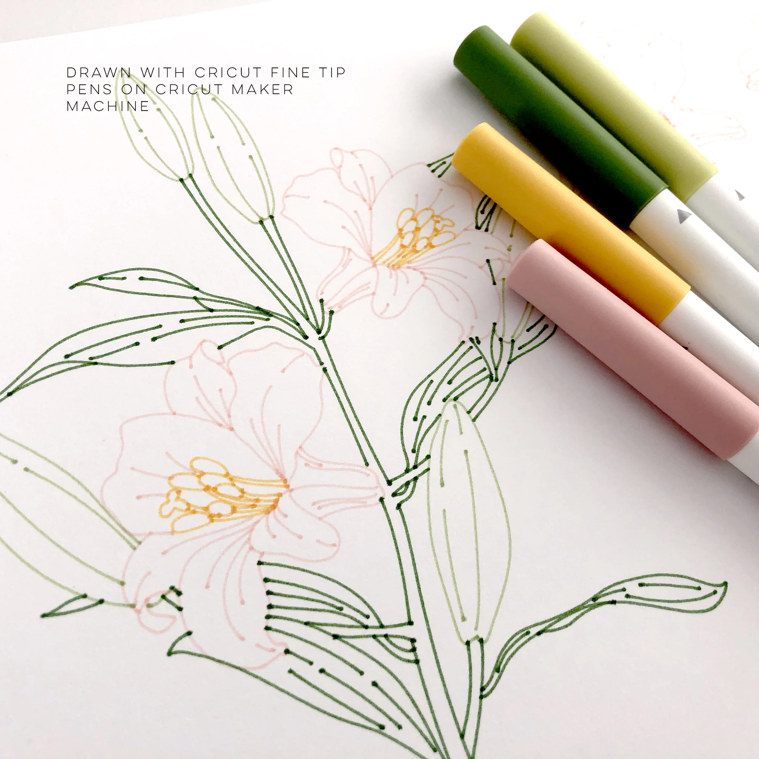 Lily - Cricut Fine Tip Pens.jpg