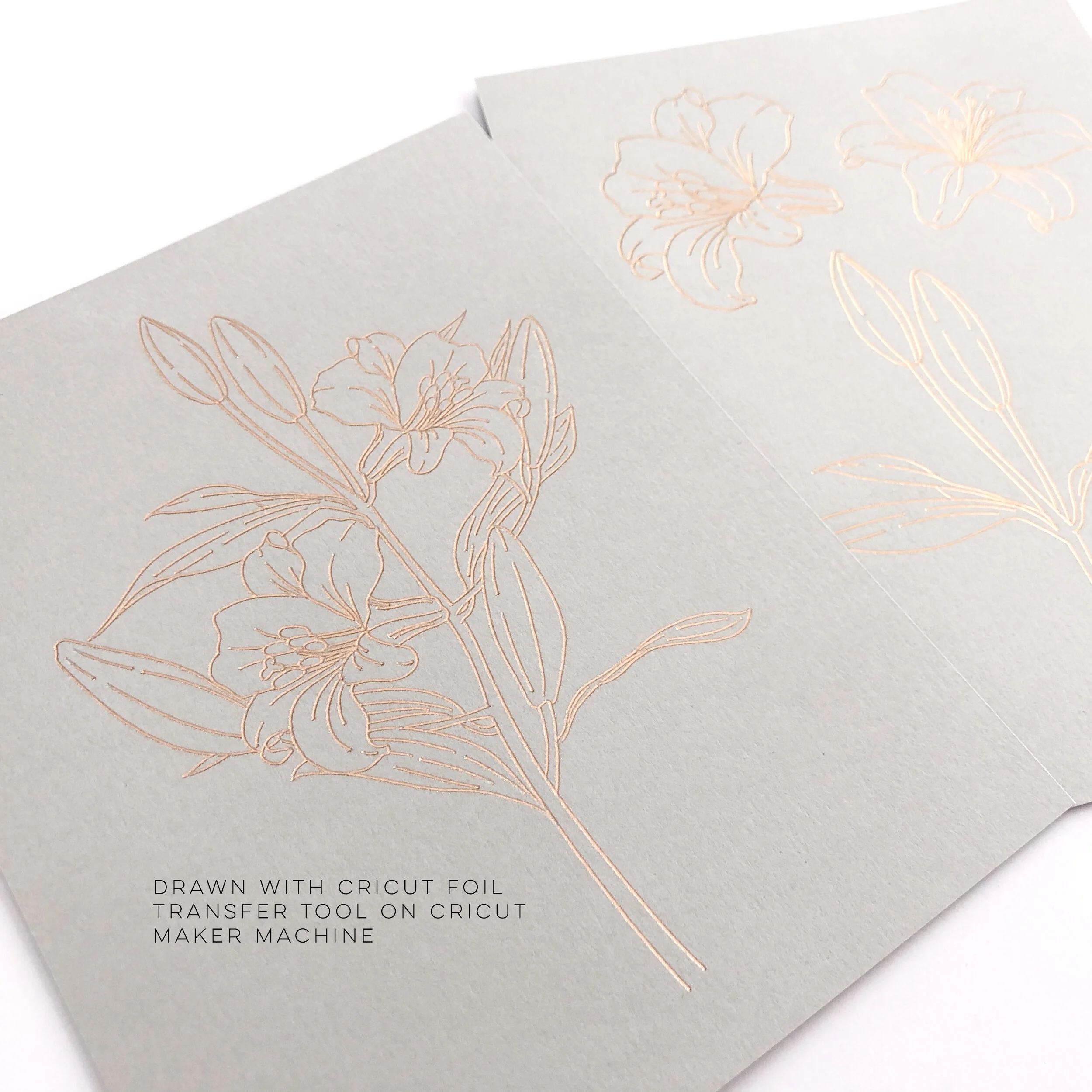 Lily - Foil Transfer 2.jpg