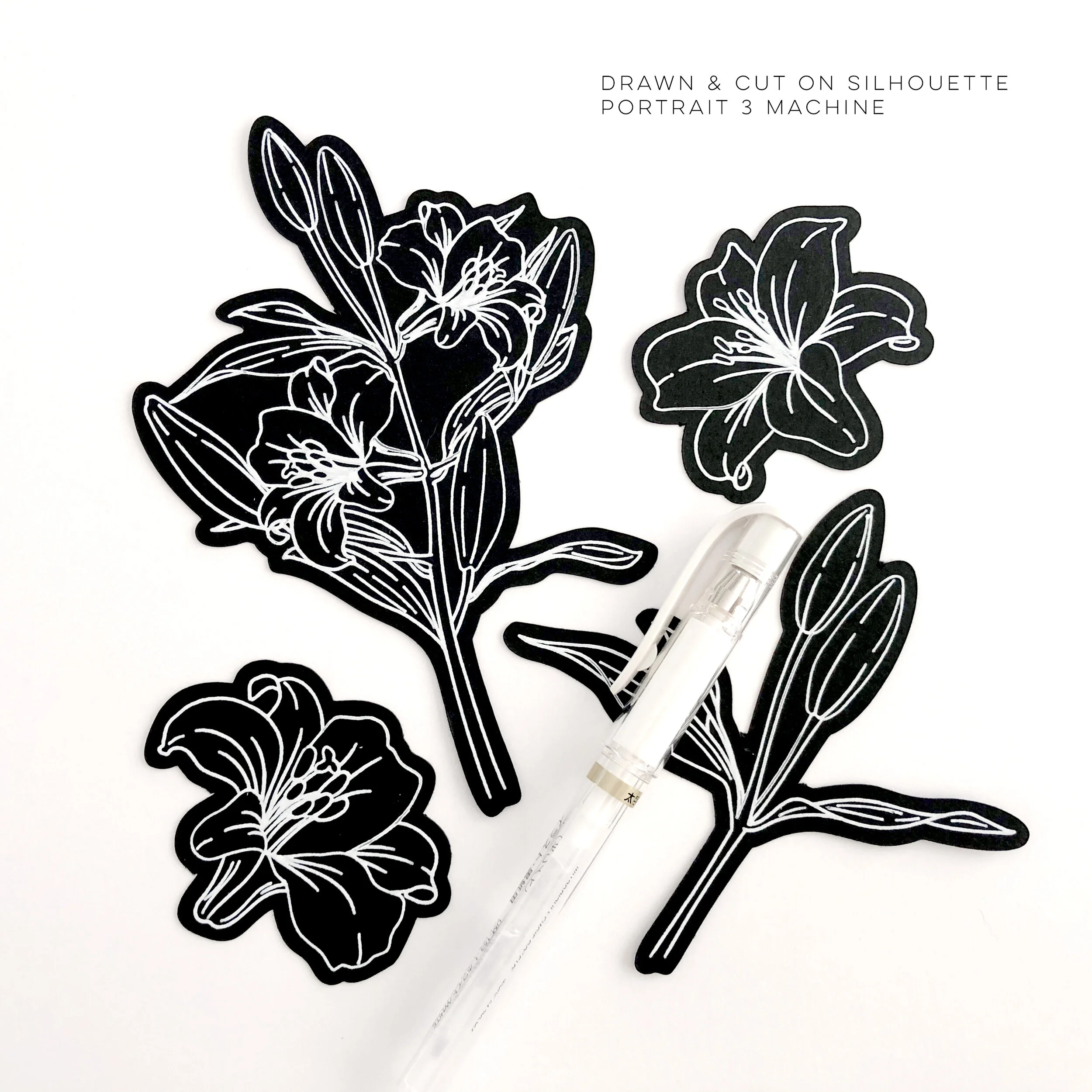 Lily - White Pen on Black Cardstock.jpg