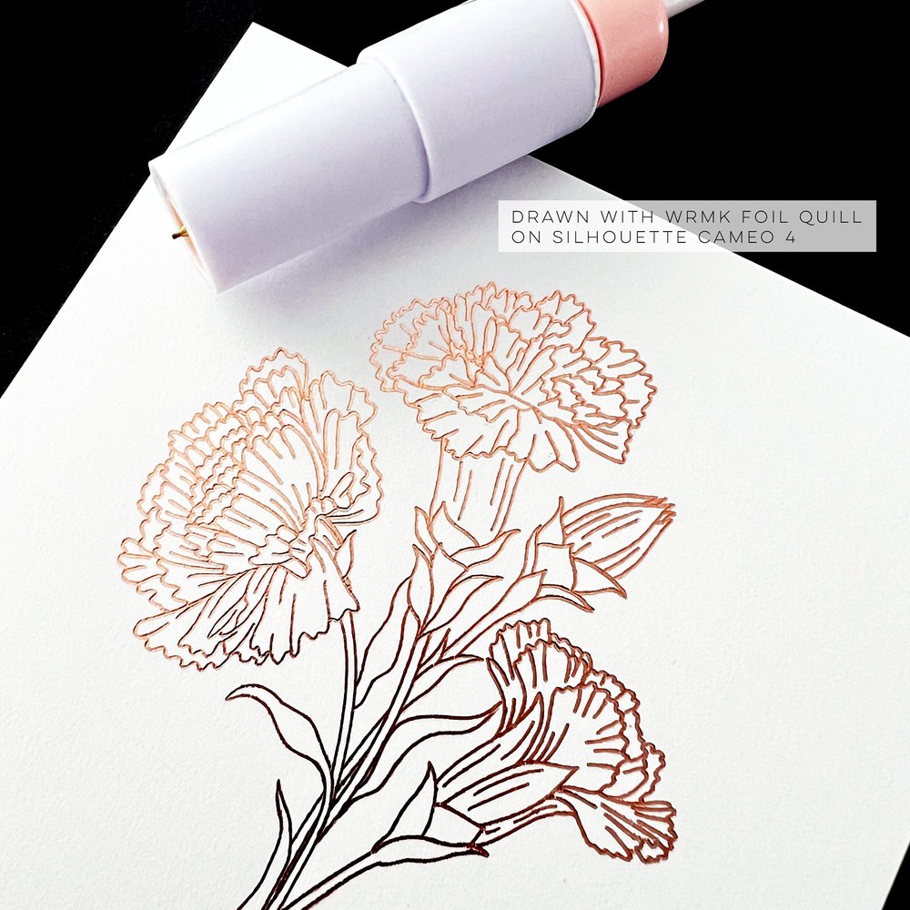 Carnation Flower Single Line SVG File, Botanical Floral Clip Art, Instant  Digital Download — JoAnna Seiter