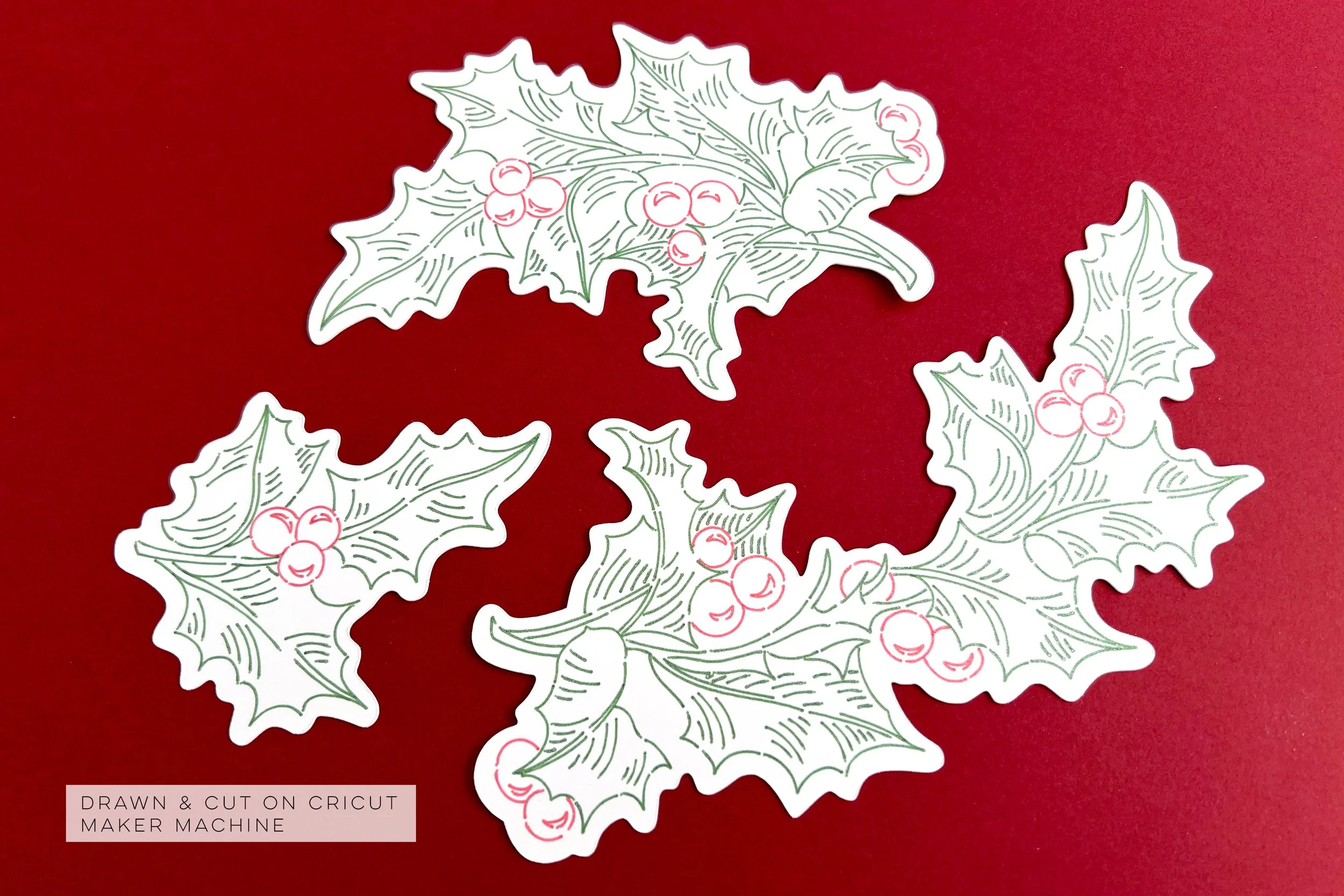 Holly_Cricut.jpg