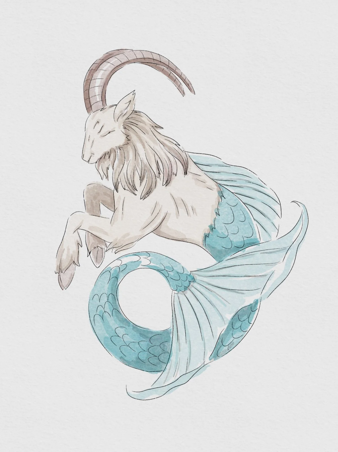 Creating Watercolor Style Clip Art in Procreate to Use With Your Cricut or Silhouette Machine