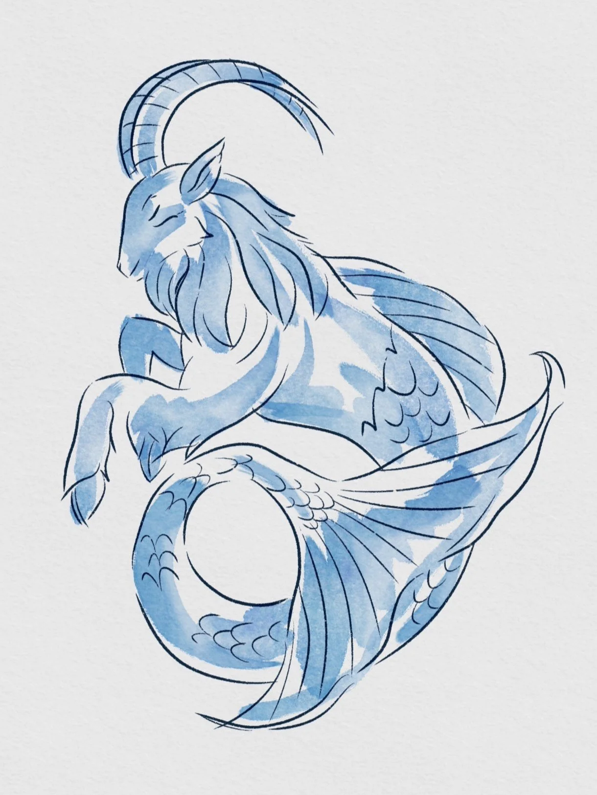 Another Style of Watercolor Clipart in Procreate