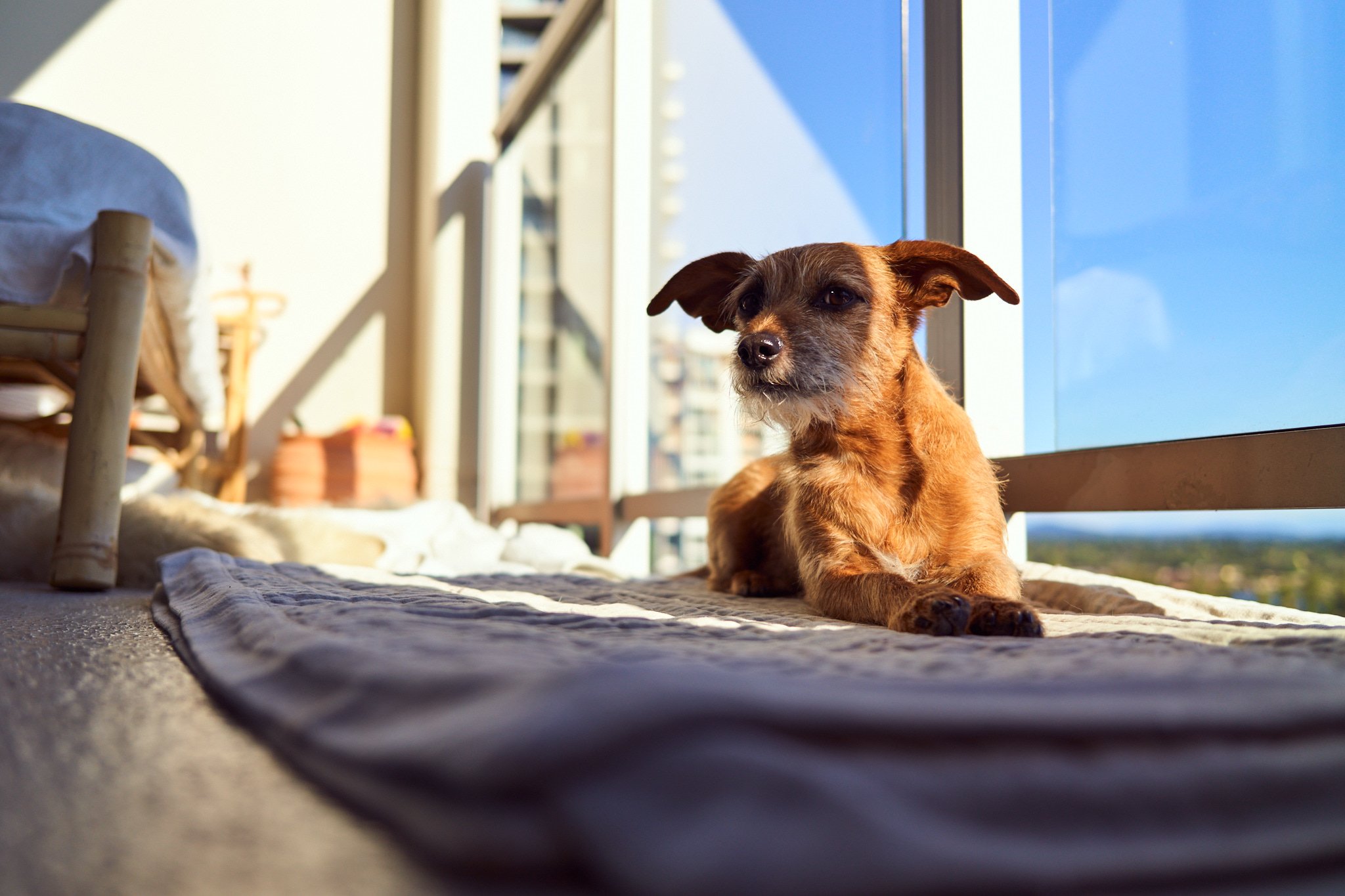 230908_Cooper_Patio_033.jpg