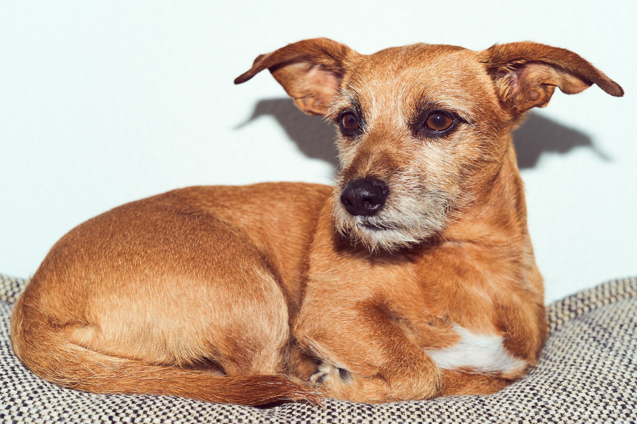 230609_Cooper_010.jpg