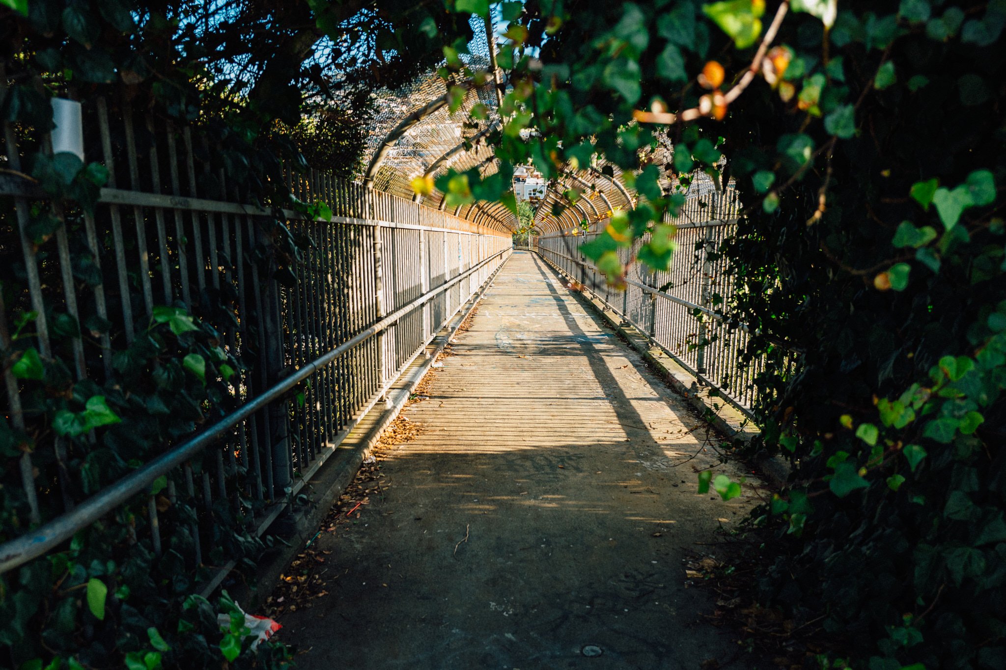 180119_SanFrancsico_TunnelBridge_082.jpg