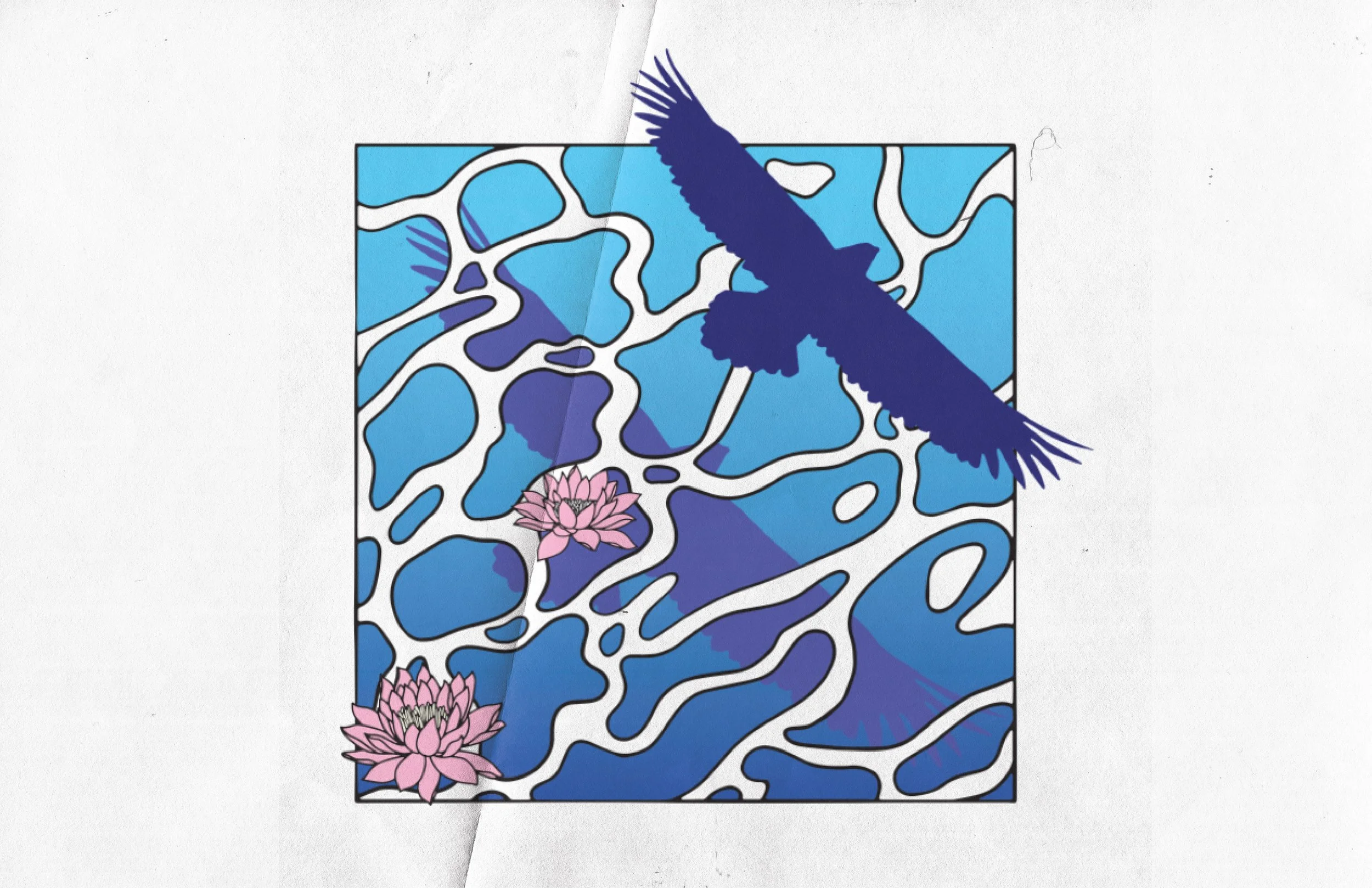 NB SIZE OVERVIEW-07.jpg