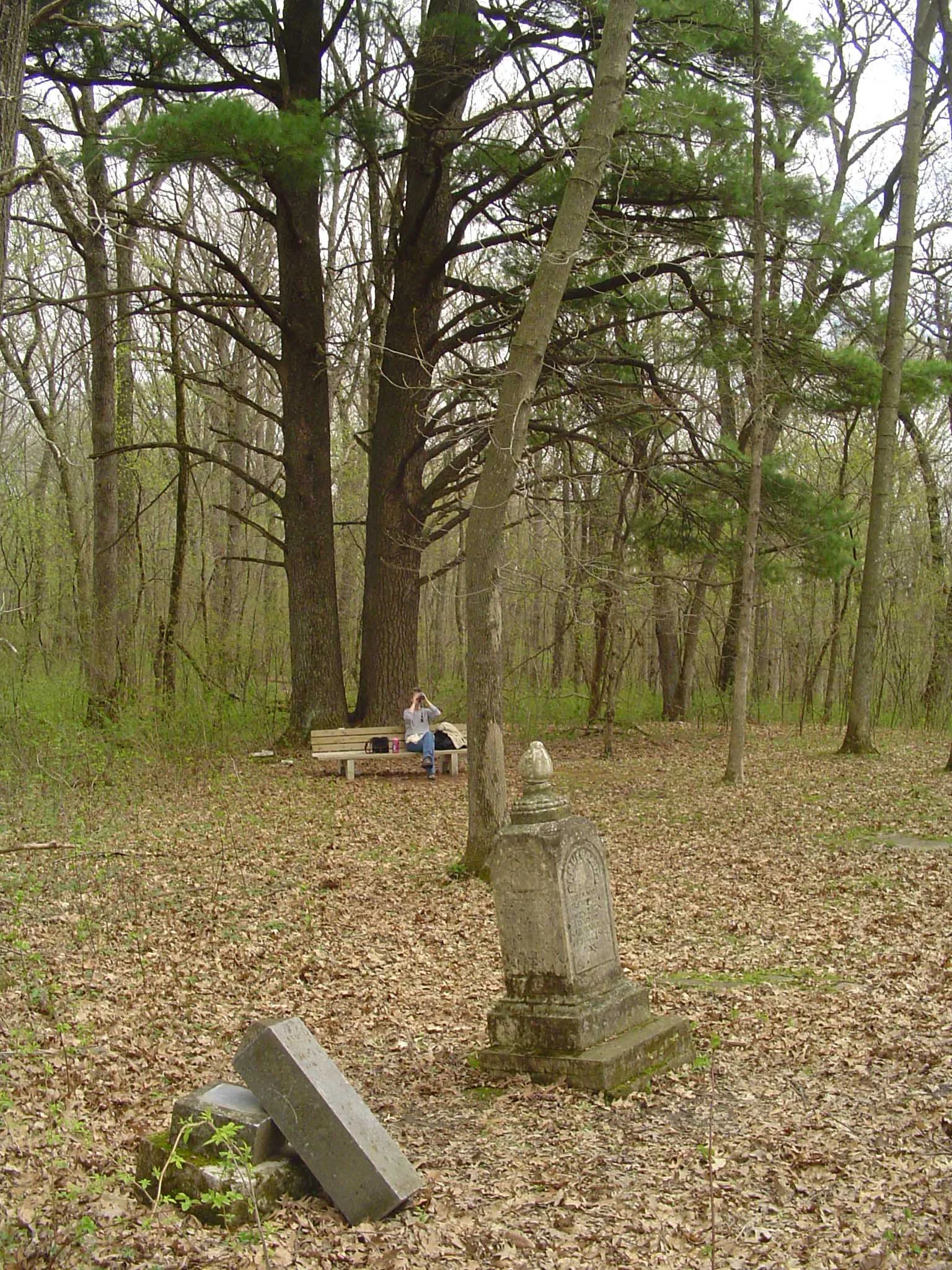 Forestville_CemeteryView.jpg