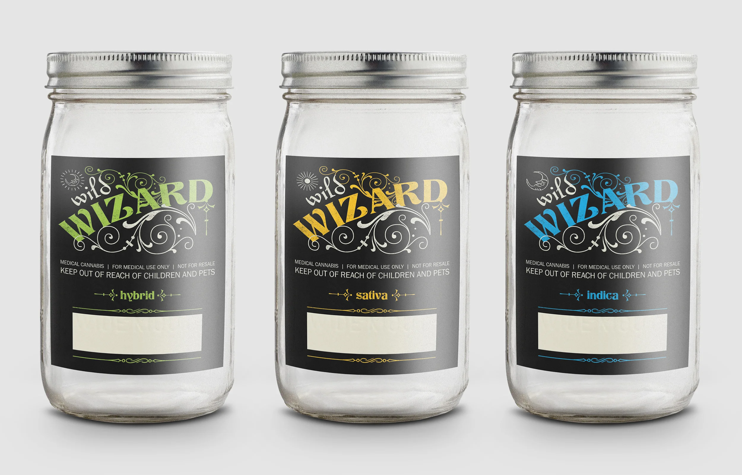 Download Wild Wizard By Amanda Weedmark