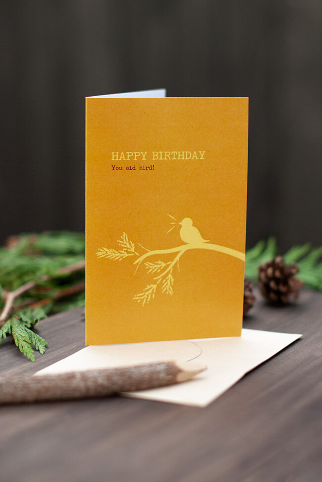 Photographic Greeting Card - Suitable for Birthdays & Other s Nine European Bee-Eaters On A Branch - Birthday/Blank from The RSPB Range WDM-429170