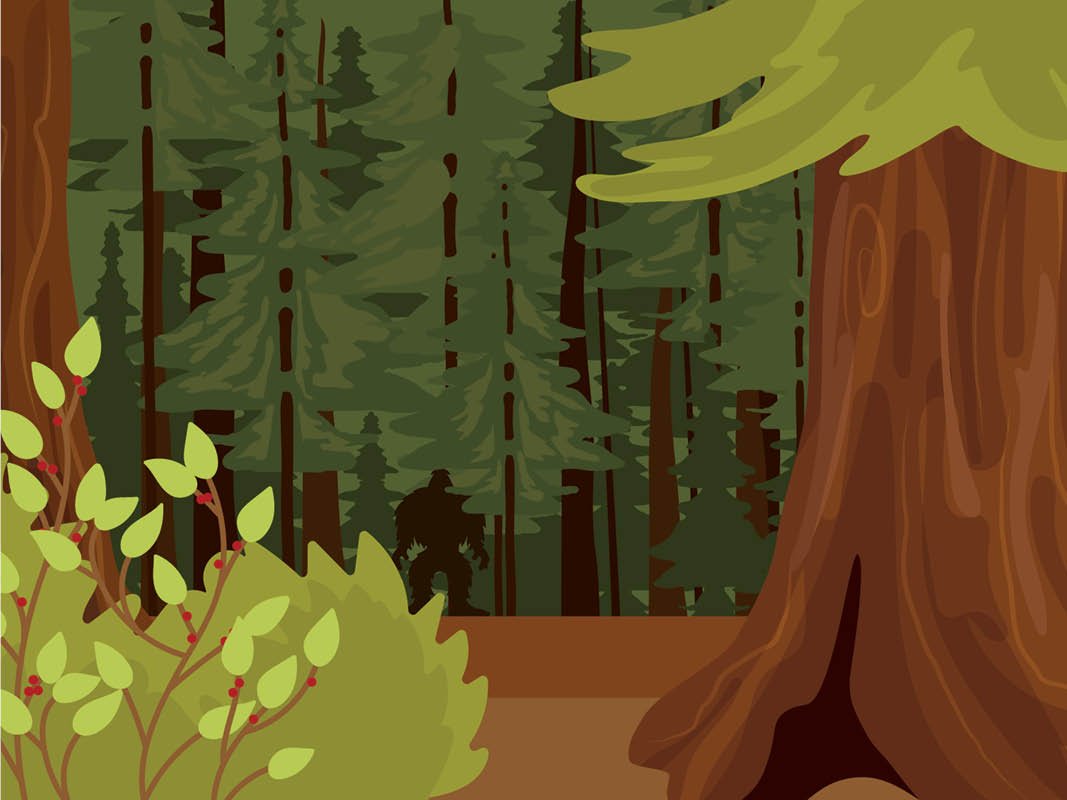 Nature-Landscape Illustration-Bigfoot-Woods.jpg