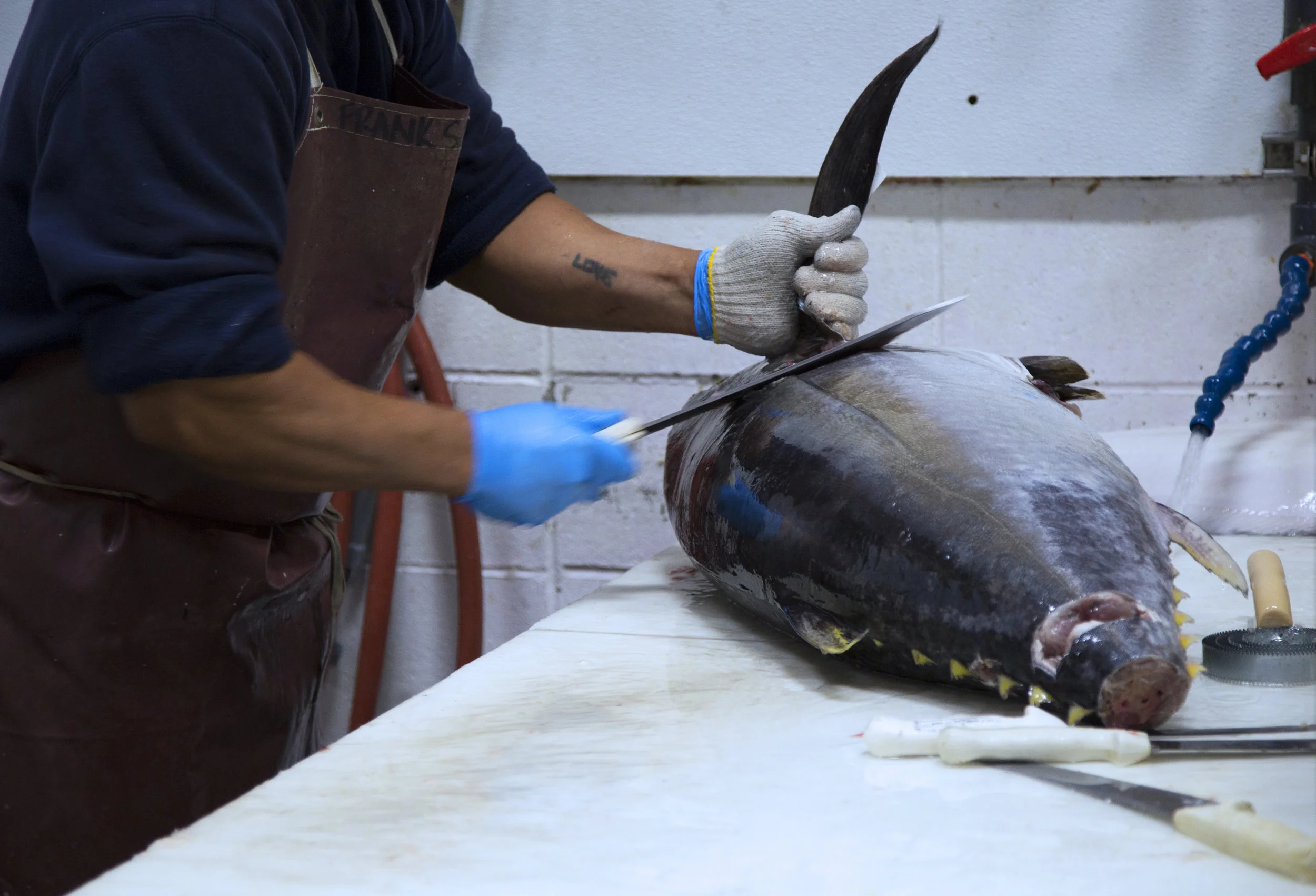 BP2A6945-1.jpg