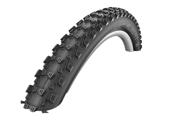Schwalbe Fat Albert Rear