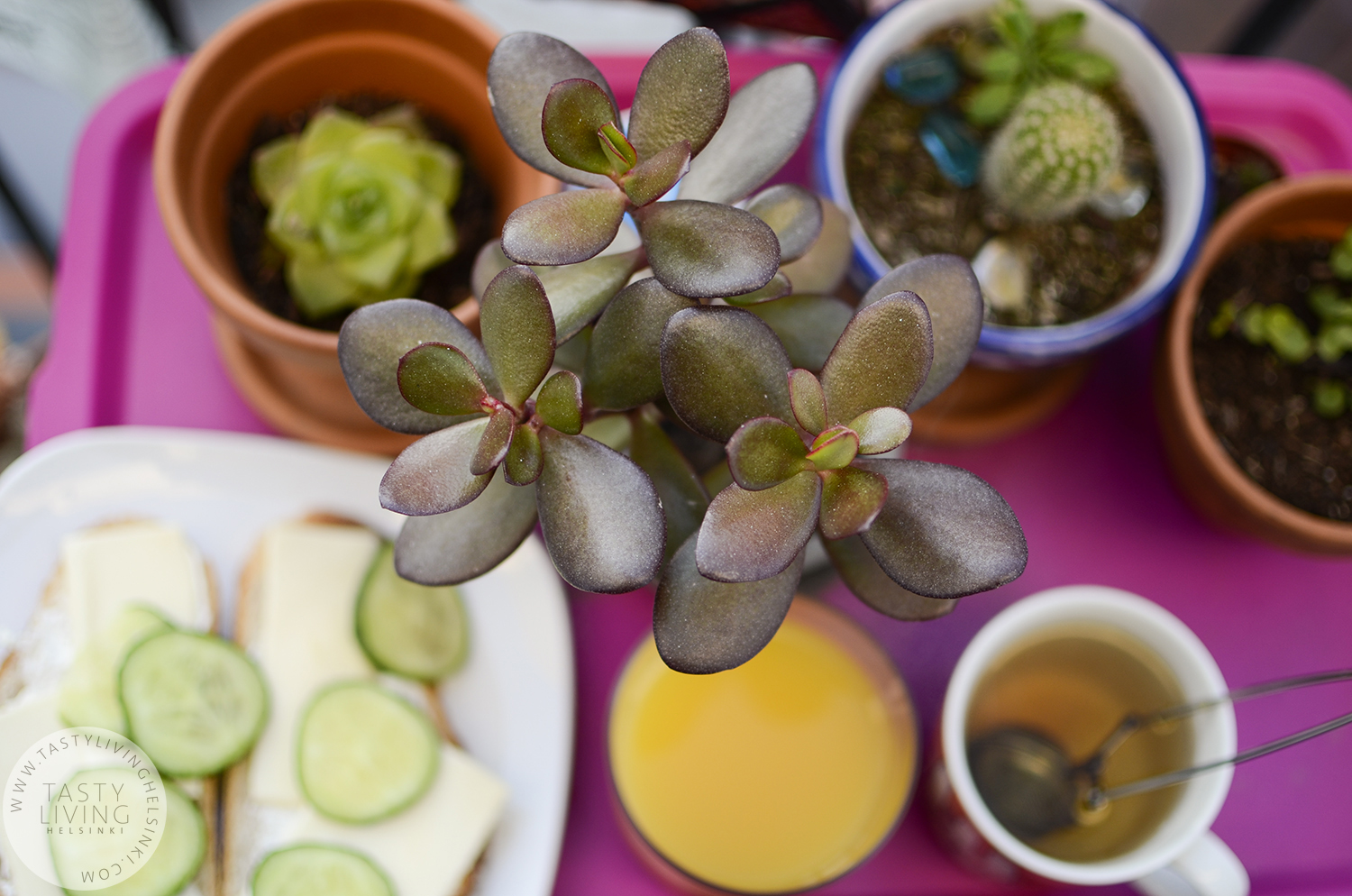 Breakfast at Ariadna's balcony.