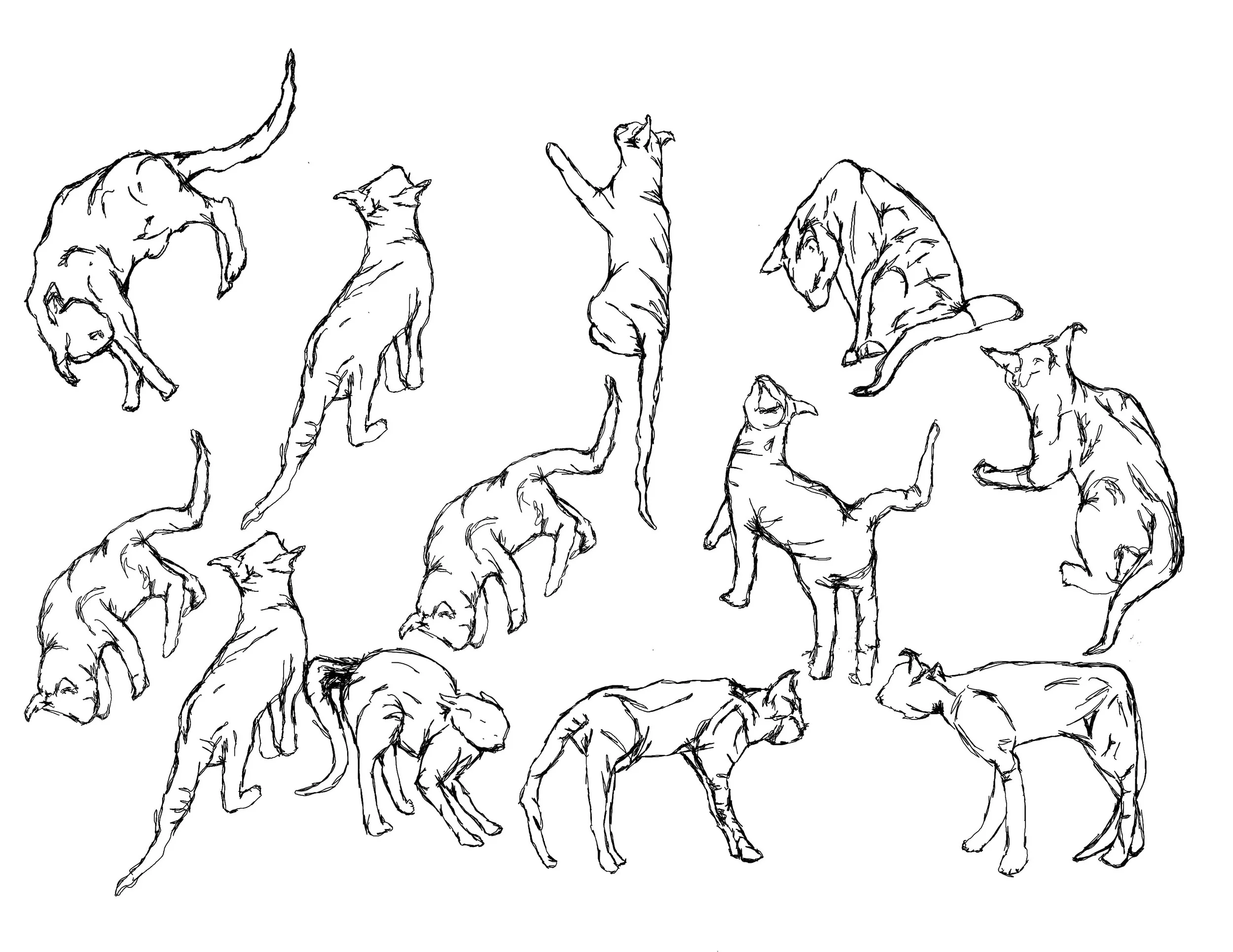 BOCETO LITTLE CHAOS.jpg