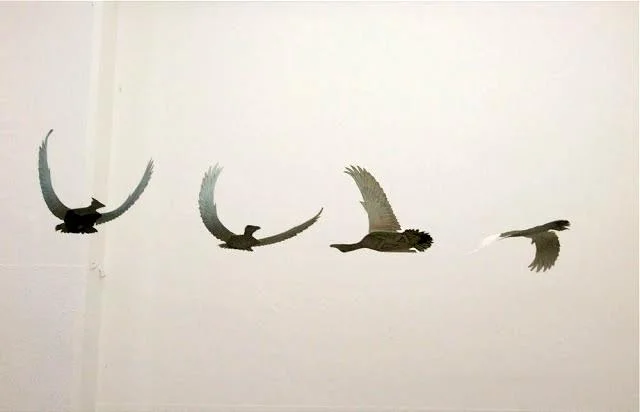 ducksflyt6.jpg