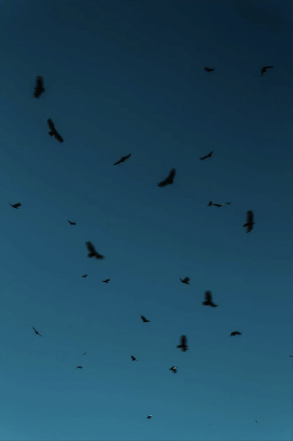 Screenshot 2026-05-29 at 15.20.48.png
