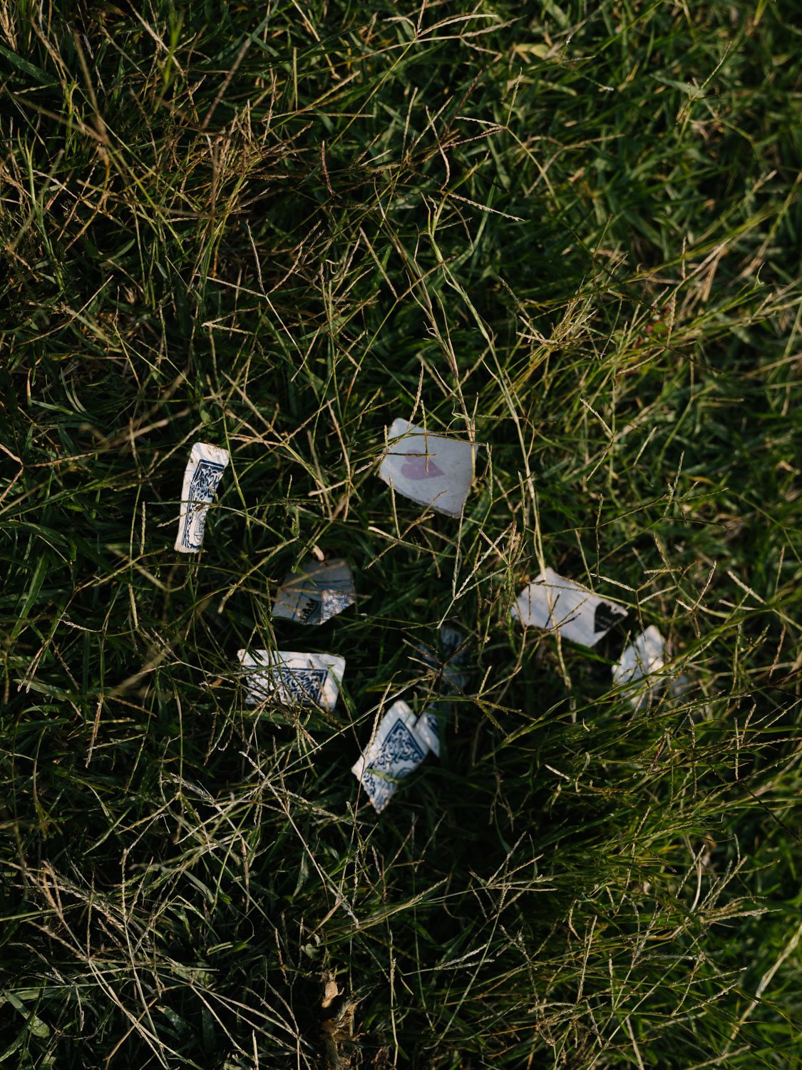 _DSF0718.jpg
