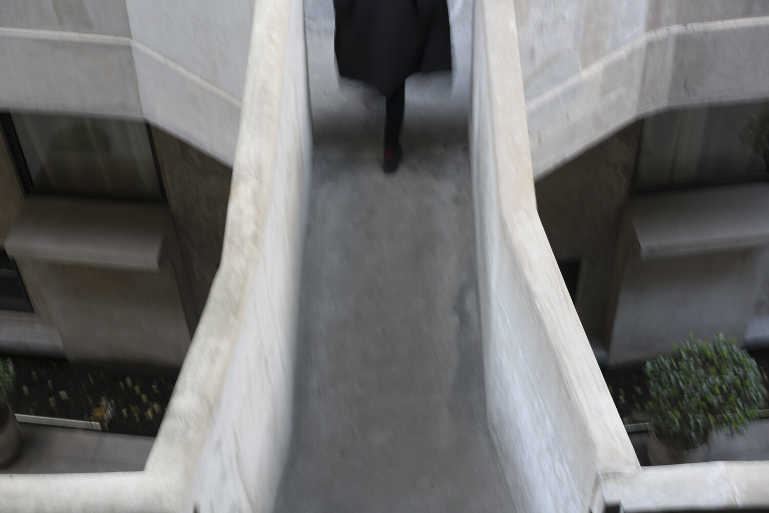 DSC09240.jpg