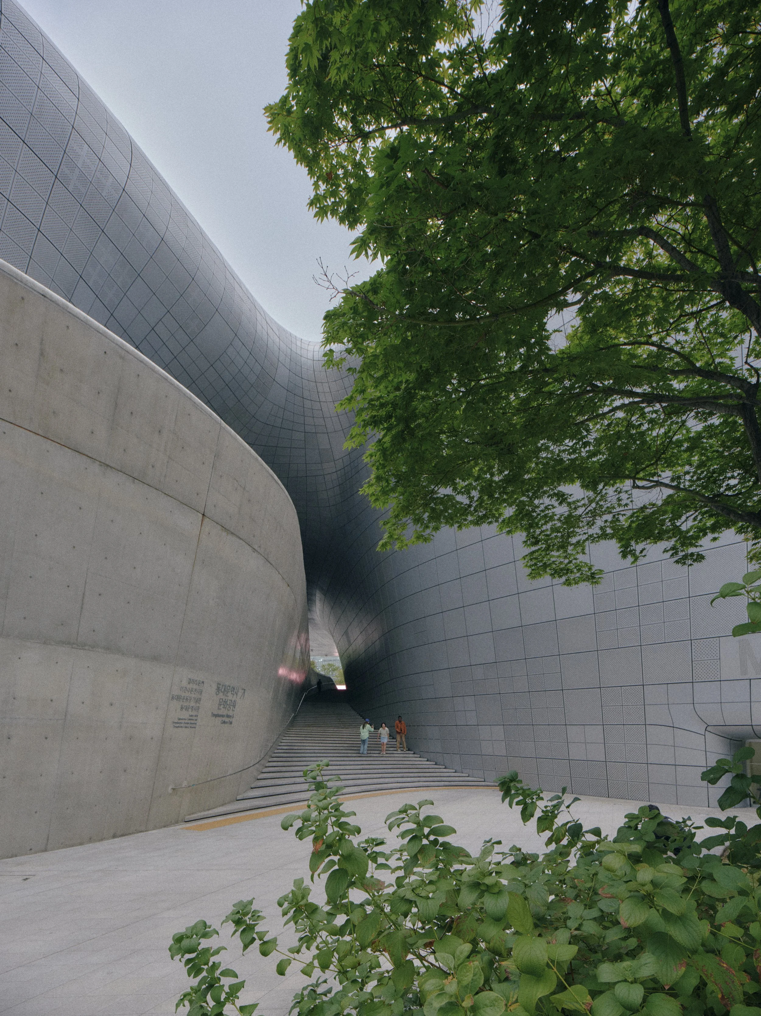 DSCF9041.jpg