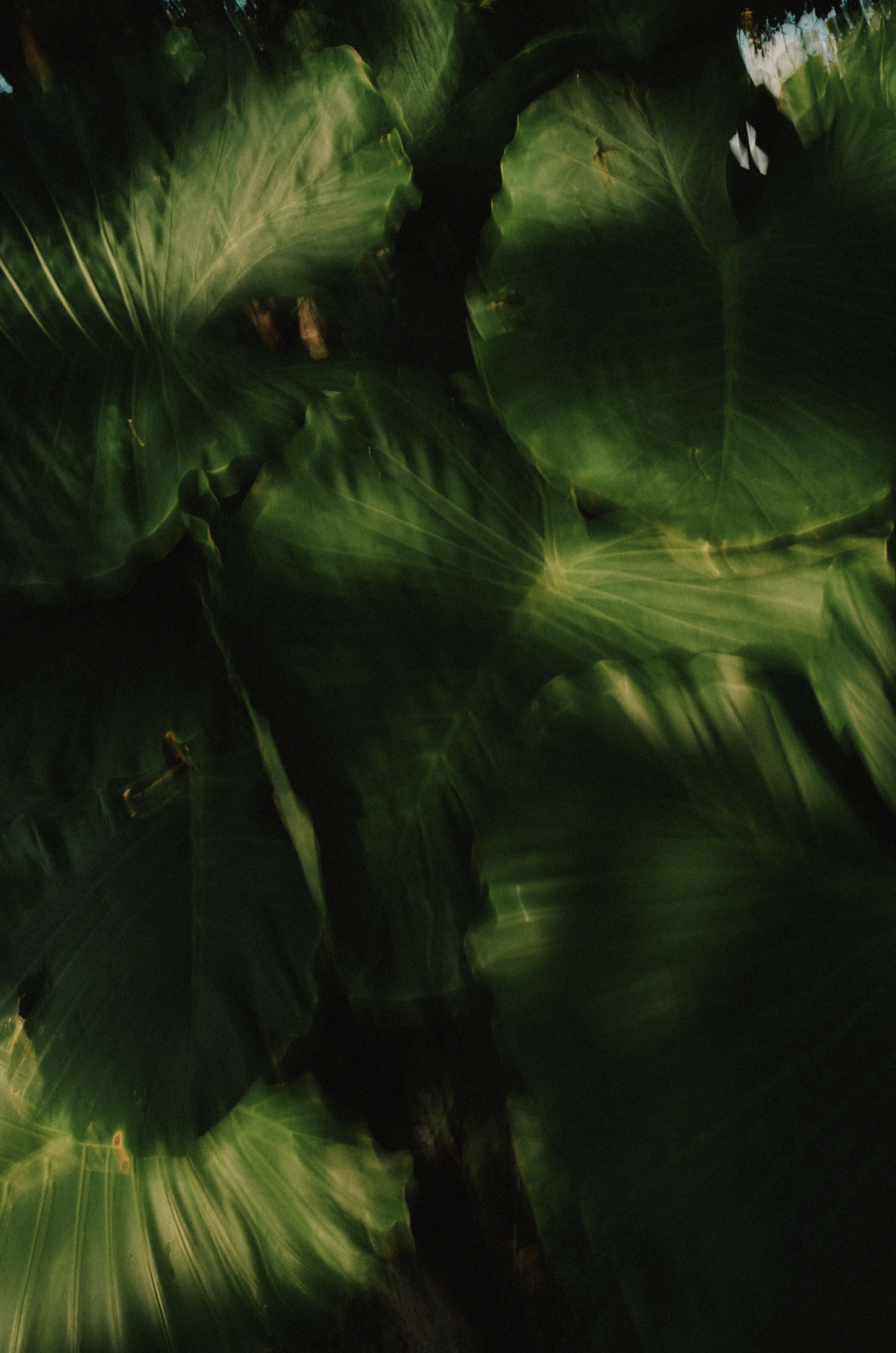 Screenshot 2026-06-02 at 18.39.20.png