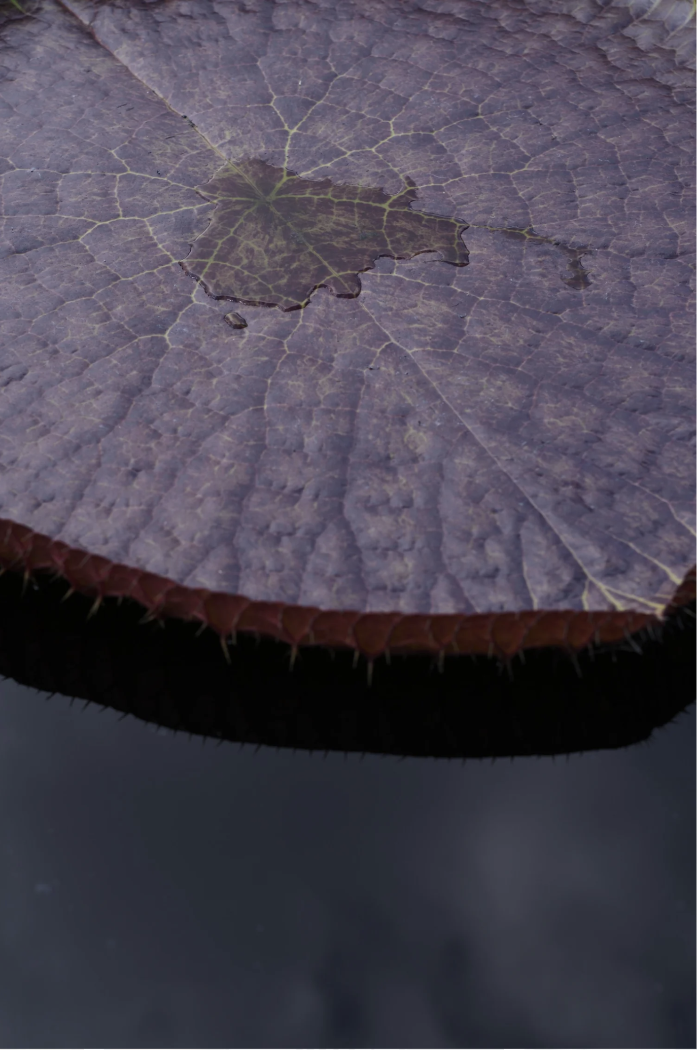 Screenshot 2026-06-02 at 16.16.19.png