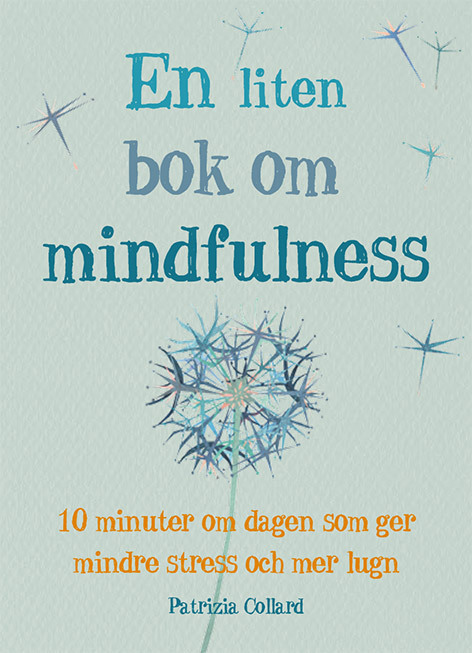 En liten bok om mindfulness.jpg