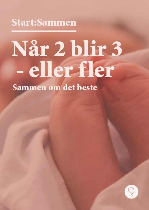 «Når 2 blir 3 – eller fler» - Oppgavehefte