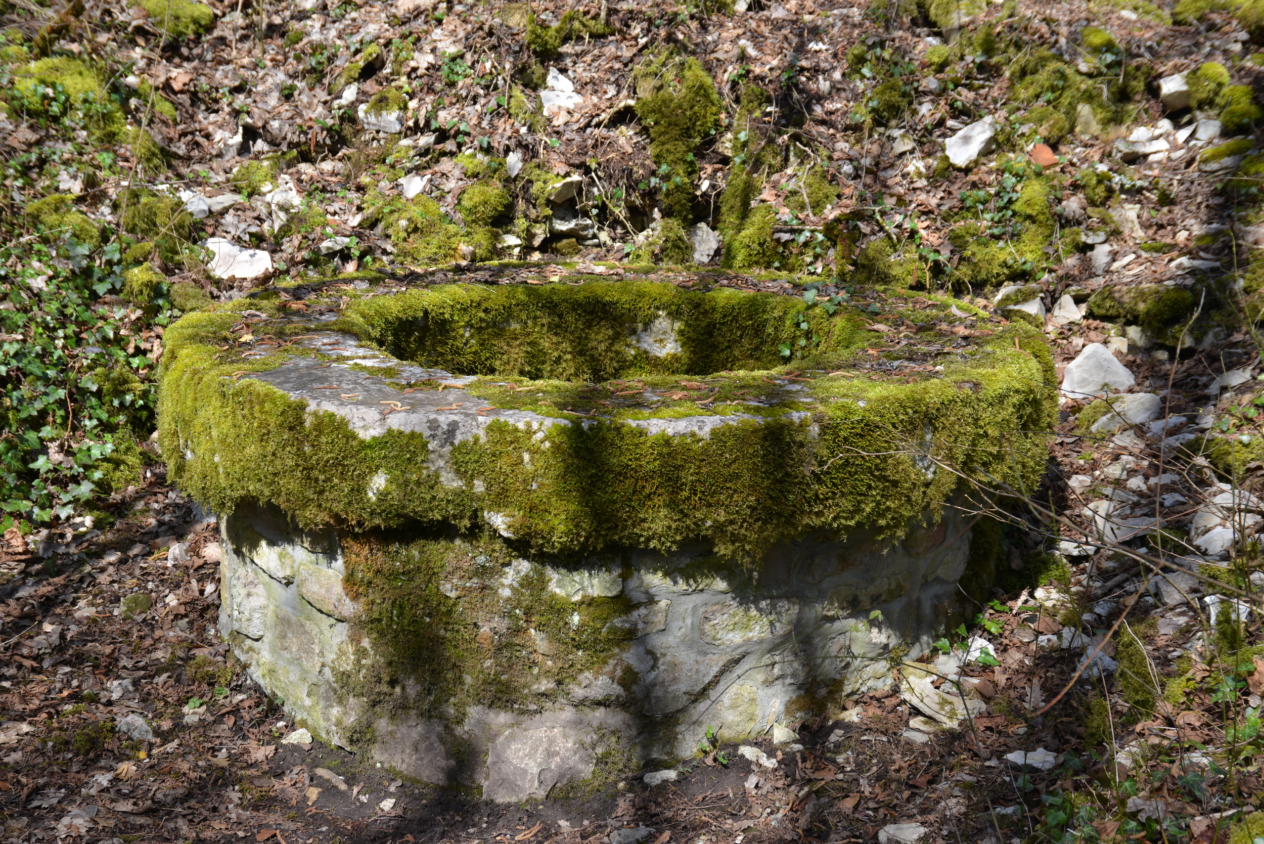 The former well at the foot of the path leading to the ruins of the Chateau of Vergy