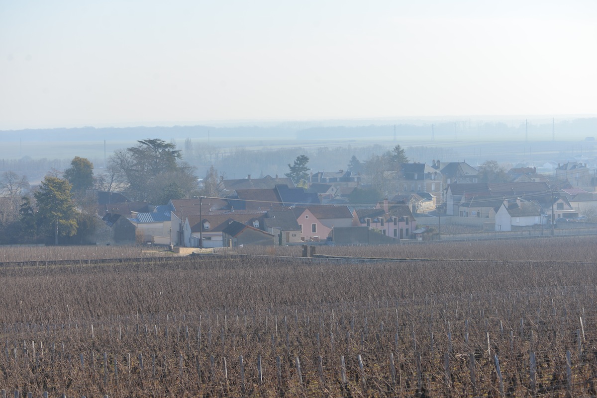 Vosne Romanee, Burgundy. The winter months are an interesting time to walk the vines. In the summer months there is green foliage, whereas in the winter, all is laid bare.