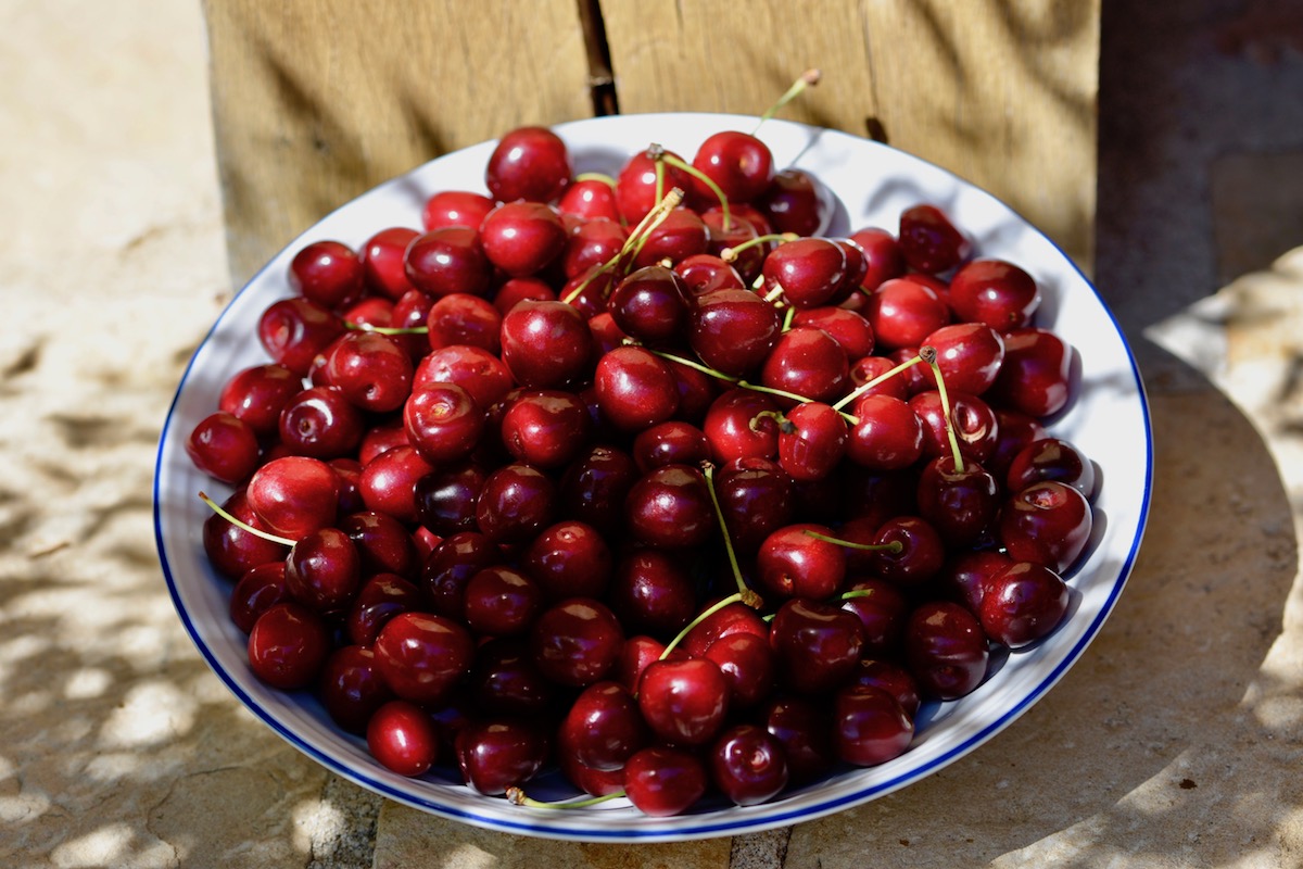A bowl of Burgundy cherries